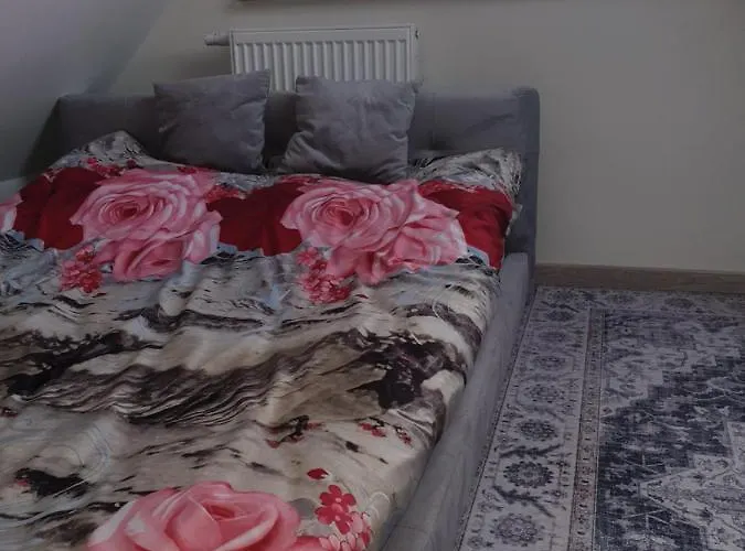 Apartman Szafran Wierzchucino